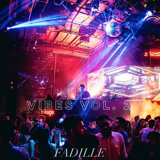 Vibes Vol. 2