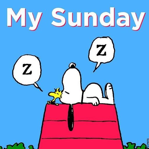 My Sunday Vibes @Gare De Robe