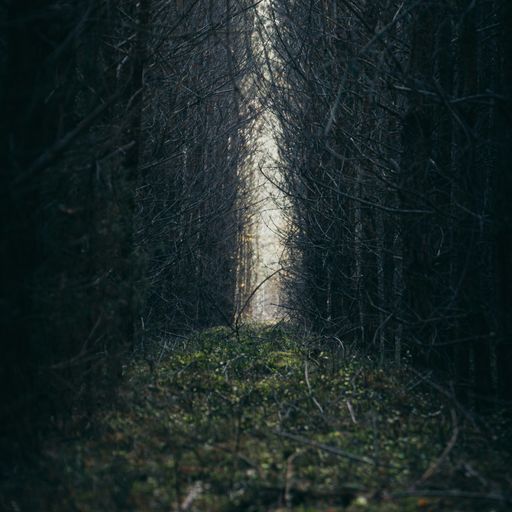 this lonely path