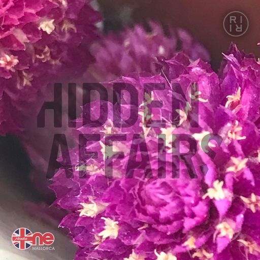 ++ HIDDEN AFFAIRS | mixtape 1652 ++