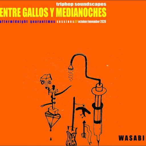 ENTRE GALLOS Y MEDIANOCHES/ Aftermidnight Quarantimes Sessions / triphop soundscapes/ Vol. 1