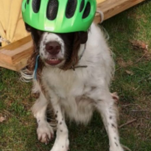 Thursday dnb (26/09/24)