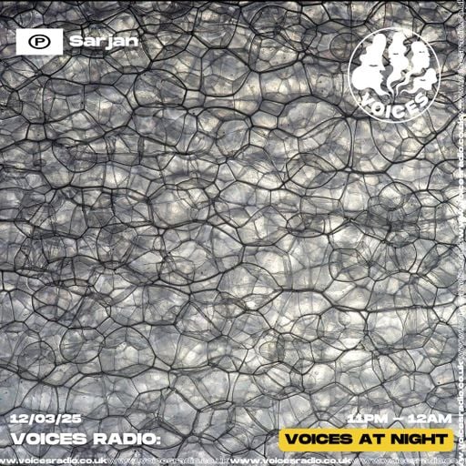 Step Into the Unknown w/ Sarjan 12/03/25 - Voices Radio