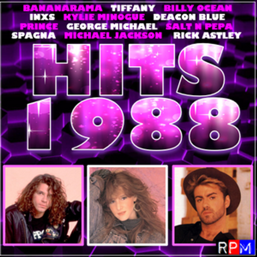 HITS 1988 : I THINK WE'RE ALONE NOW