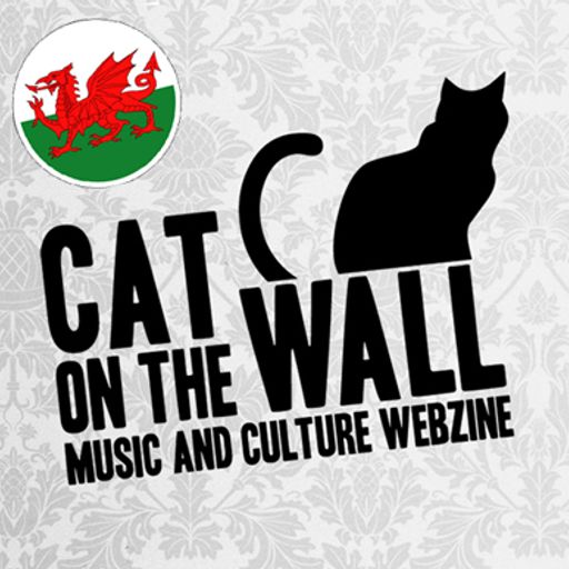 Cat On The Wall Cwtchy Mix