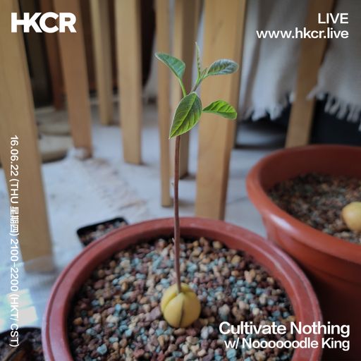 Cultivate Nothing w/ Noooooodle King - 16/06/2022