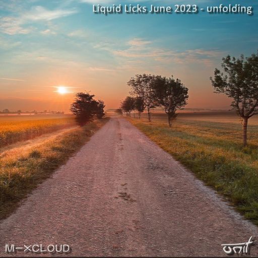 Liquid Licks - June 2023 (unfolding)