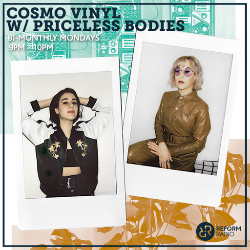 Cosmo Vinyl w/ Priceless Bodies 30th August 2021