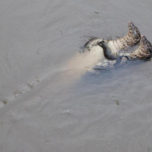 ถึงจะเหี้ยแต่ก็เมียเธอนะ