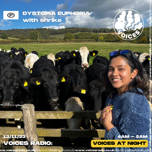 Dystopia Euphoria w/ shrike - 13/11/23 - Voices Radio