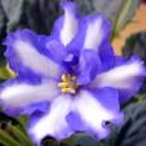 a one off special, mark aust march 24th 2011