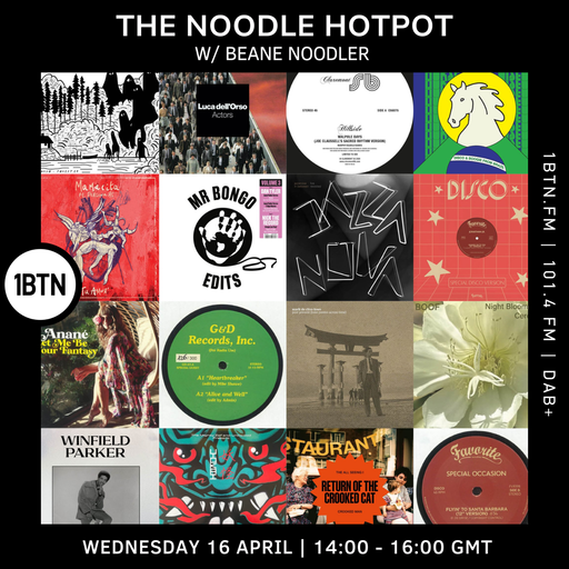 The Noodle Hotpot w/ Beane Noodler - 16.04.25
