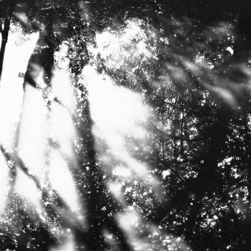 Open Hand Real Flames - Theremin special - 2nd July 2025