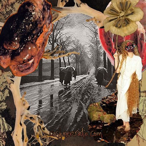 Zola Gorgon #17 A CHANCE MEETING IN THE ROAD 17.09.2024