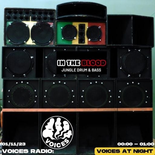 In The Blood Presents - 01/11/23 - Voices Radio
