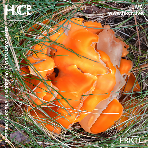 FRKTL - 21/07/2021