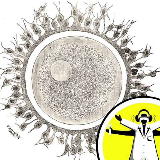 Investigating Infertility