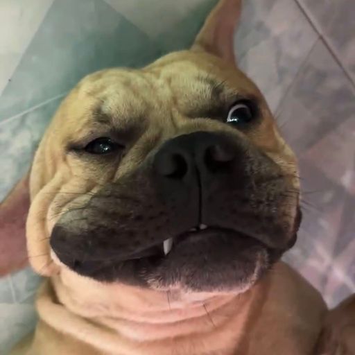 AA V13 专属【乌梅子酱 x 为什么不说话 x Pure x 下雨天 x 永不联系的爱】DJ Holend Remix