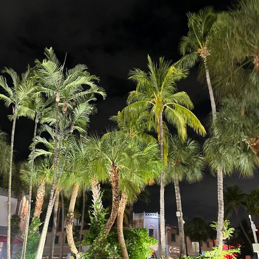 Perreo Party Mix (Reggaeton + Moombahton + More) K Fresh Live At Canes Miami Beach 11.8.24