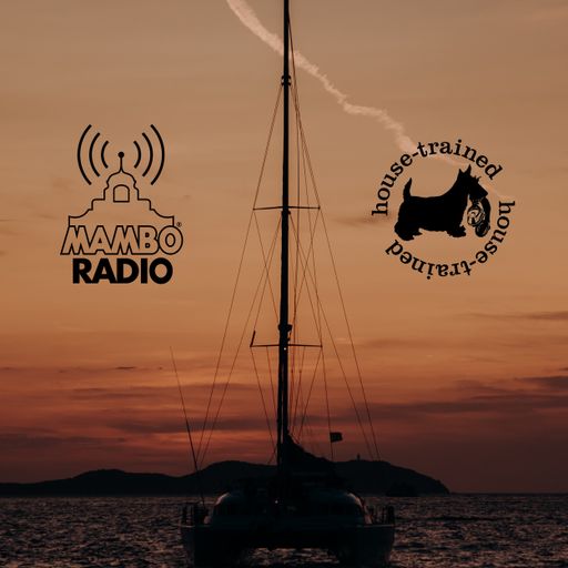 Café Mambo Radio Ibiza - House Trained Show Episode 76 (11/02/22)