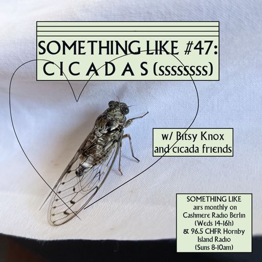 Something Like #47 - Cicadas, with Bitsy Knox 14.09.2022