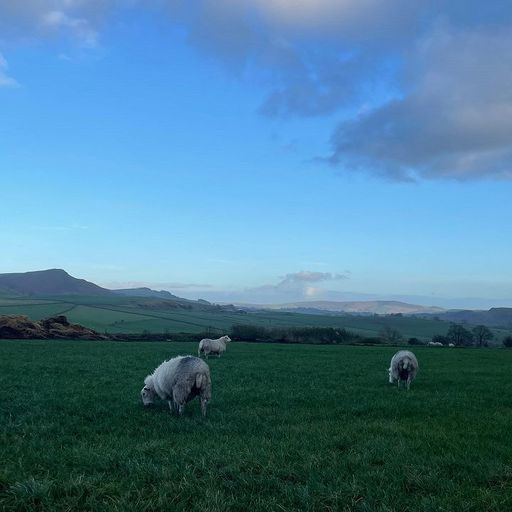 Thea HD - 16th November 2025