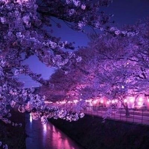 2024 MARCH WINTER→SPRING MIDNIGHT MELLOW CRUISE CHILLOUT MIX 『Don't Leave』