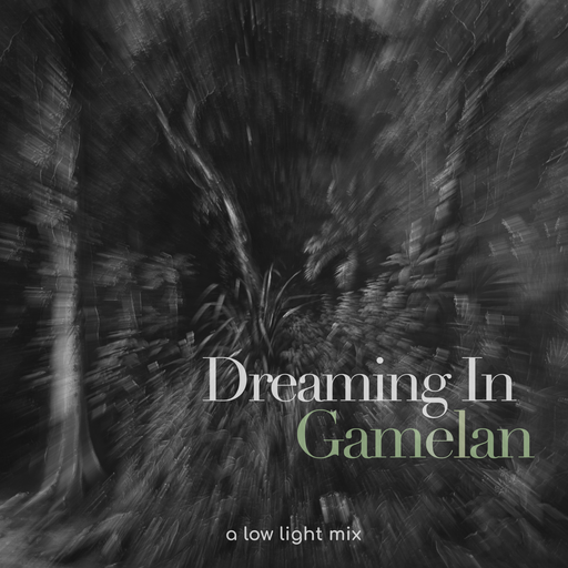 Dreaming In Gamelan by Andy McNeill