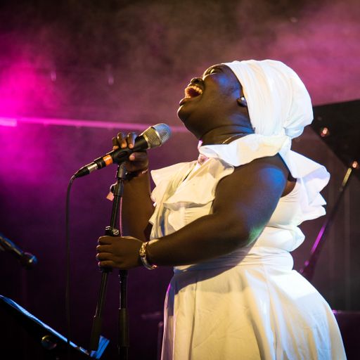 Dayme Arocena // 15-11-20