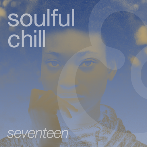 A Soulful Chill | Seventeen