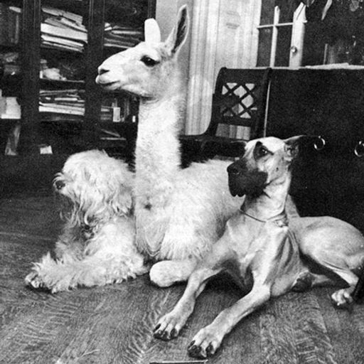 μ AND FURTHER NORTH [Adventurous music from the extended Balkans] - PART TWO