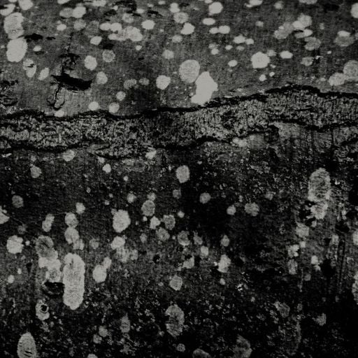 Nitetrax - 29th March 2026