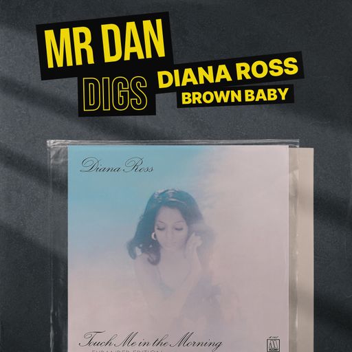 Mr Dan Digs Diana Ross "Brown Baby"