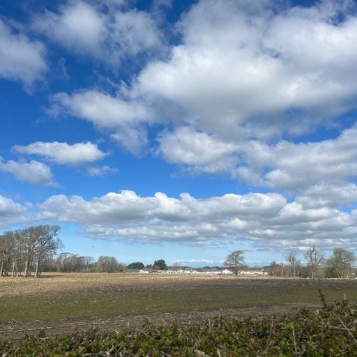 Ellie Morgan-Clegg - 10/04/26 [Voices Radio]