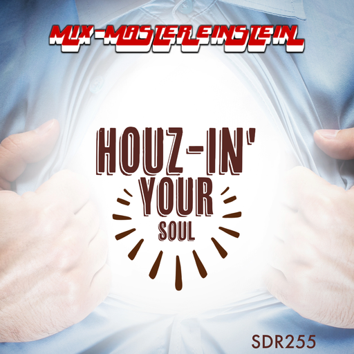 SDR255: Houz-in' Your Soul