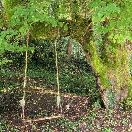Inner Child Work w/ Emily E - 21st September 2025