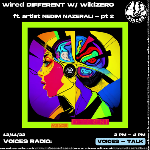 wired DIFFERENT w/ wildZERO - 13/11/23 - Voices Radio
