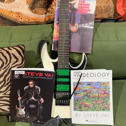 Polley Music Library show: The music of Steve Vai