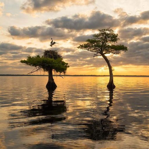 Walking on Air (AmbientTripping)