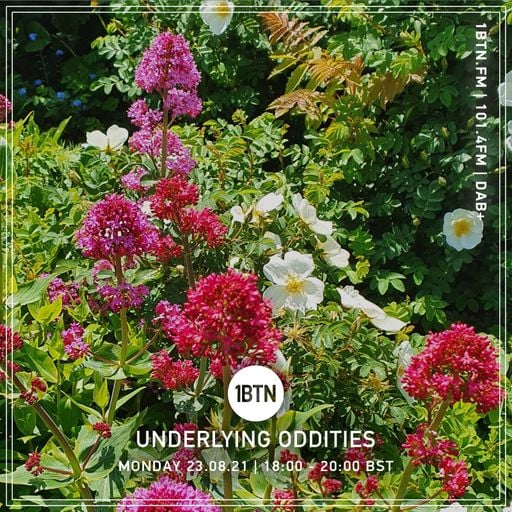 Underlying Oddities - 23.08.2021