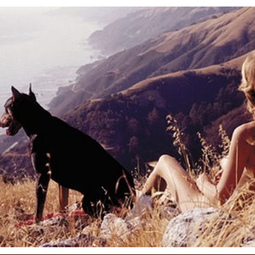 The Grace Escape February 