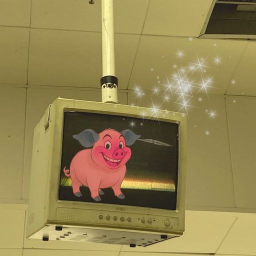 Spinee b2b Pig Ignorant - 21st June 2025