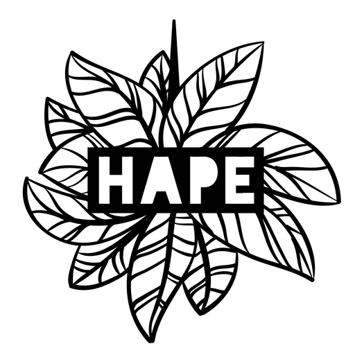 Drache x Hape Collective