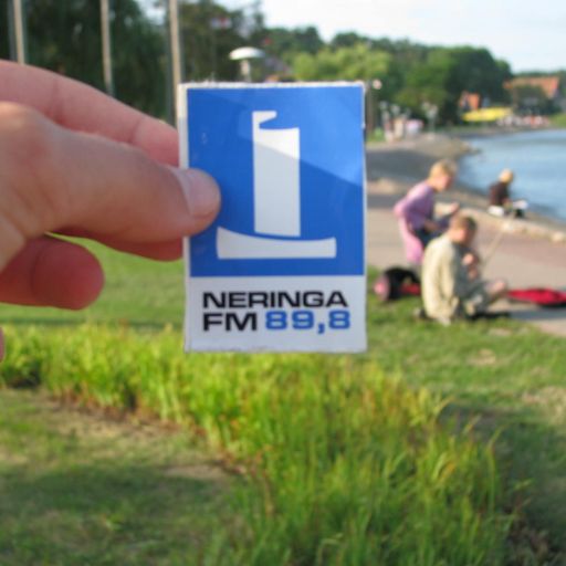 Neringos sekretas vol. 7 (2011-04-26)