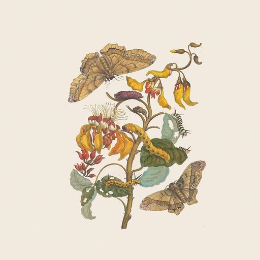 Perfect Sound Forever  - 1st July 2025