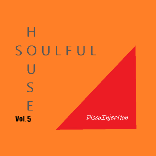 Soulful House Mix Vol. 5 / 2022 by DiscoinJection