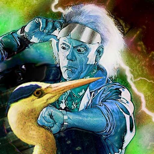 Great Scott! a Heron!!!