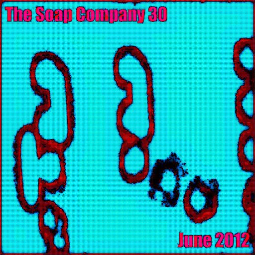 The Soap Company 2012.11 - The June Essential 30