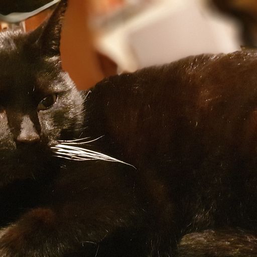 DJ Destiny (Music Inc) presents The Drum & Bass Session VOL 1 6.1.2019