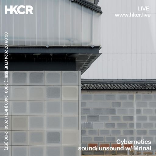 Cybernetics sound unsound w Mrinal - 06/08/24